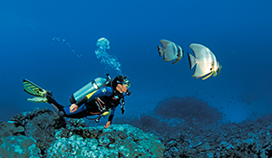 43 Tage AIDAmar ab/bis Hamburg 