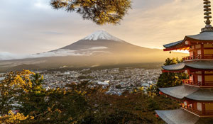 43 Tage AIDAstella inkl. Flug